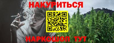 гидра Кандалакша