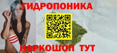 соль ск Канаш