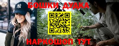 гидра Кандалакша